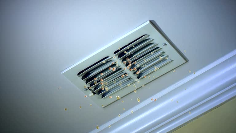Best Residential Air Duct Cleaning  in Norlina, NC