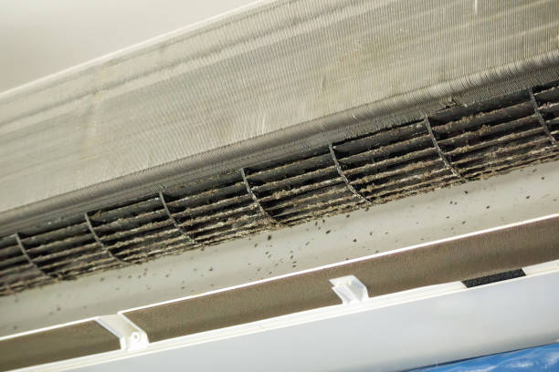 Best Air Duct Cleaning Near Me  in Norlina, NC